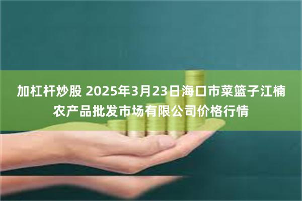 加杠杆炒股 2025年3月23日海口市菜篮子江楠农产品批发市场有限公司价格行情