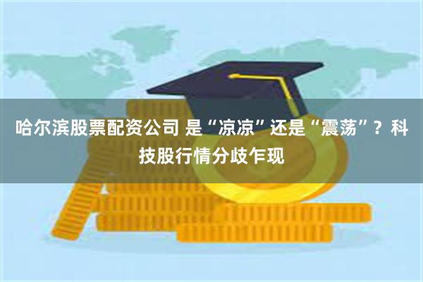 哈尔滨股票配资公司 是“凉凉”还是“震荡”？科技股行情分歧乍现