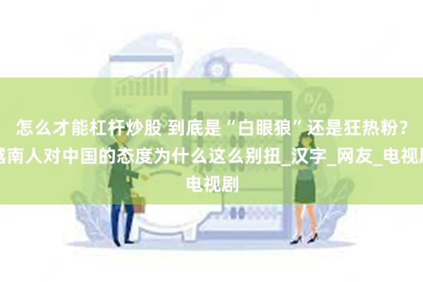 怎么才能杠杆炒股 到底是“白眼狼”还是狂热粉？越南人对中国的态度为什么这么别扭_汉字_网友_电视剧