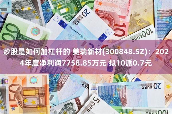 炒股是如何加杠杆的 美瑞新材(300848.SZ)：2024年度净利润7758.85万元 拟10派0.7元