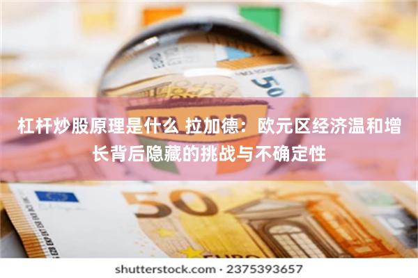 杠杆炒股原理是什么 拉加德:欧元区经济温和增长背后隐藏的挑战与不确定性