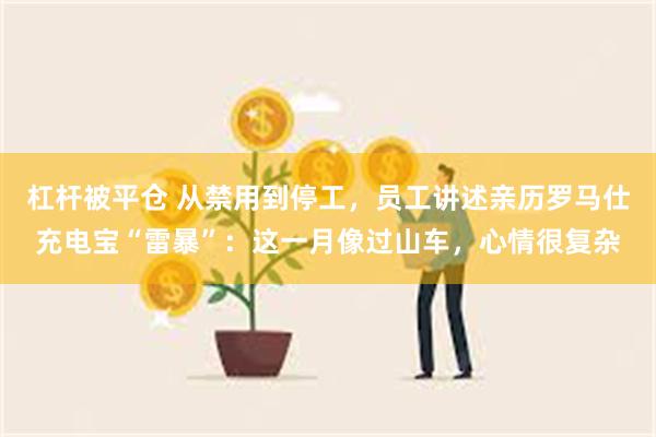 杠杆被平仓 从禁用到停工，员工讲述亲历罗马仕充电宝“雷暴”：这一月像过山车，心情很复杂