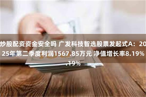 炒股配资资金安全吗 广发科技智选股票发起式A：2025年第二季度利润1567.85万元 净值增长率8.19%