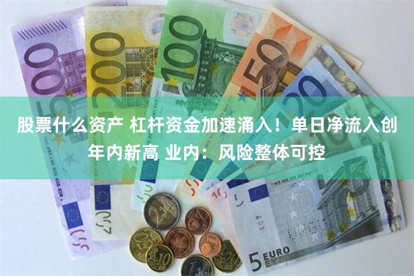 股票什么资产 杠杆资金加速涌入!单日净流入创年内新高 业内:风险整体可控